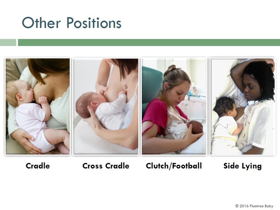 NEW Breastfeeding Powerpoint Birthwell Birthright