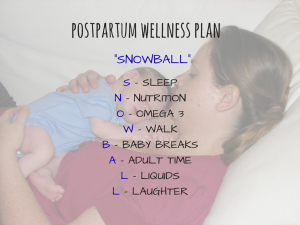 SNOWBALL – A new mother’s guide to postpartum wellness.